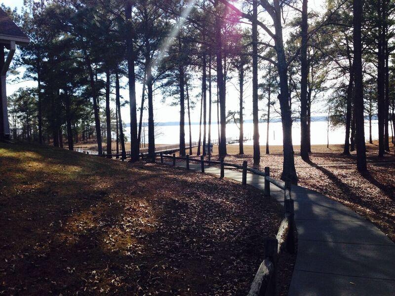 George T. Bagby State Park And Lodge Fort Gaines Kültér fotó
